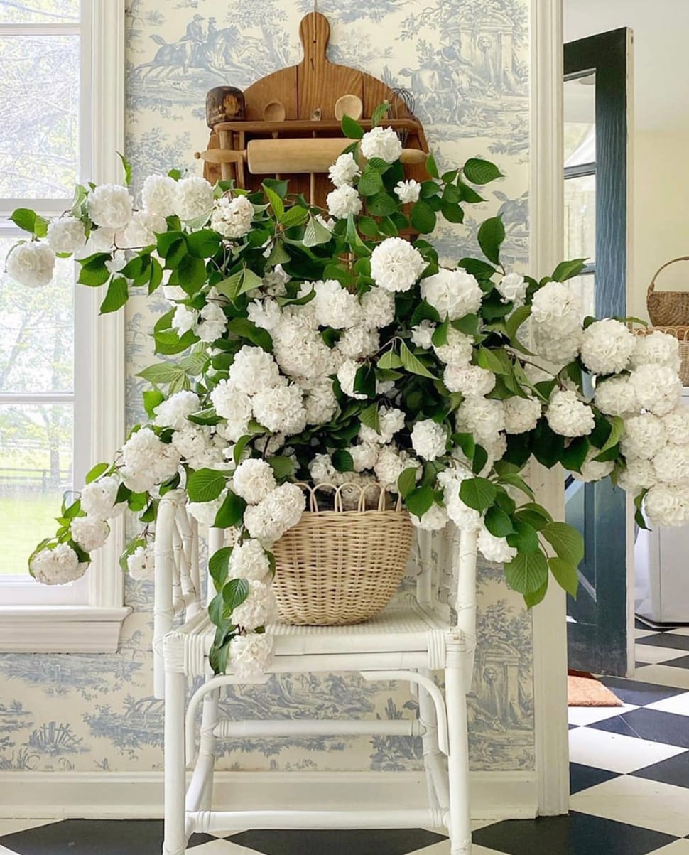 Hydrangea flowers on a chair featured in the Atlas Concorde USA blog from Schumacher