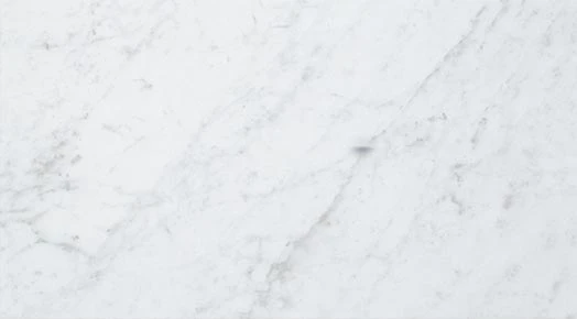 Eon Collection Carrara panel marble-look porcelain tile from Atlas Concorde USA - Sample