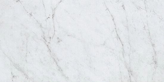 Eon Collection Carrara marble-look 12x24 porcelain tile from Atlas Concorde USA - Sample