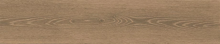 Homeland Collection Rye wood-look porcelain tile from Atlas Concorde USA - sample