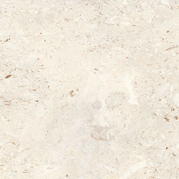 Coralstone Ivory stone-look outdoor paver from Atlas Concorde USA - sample