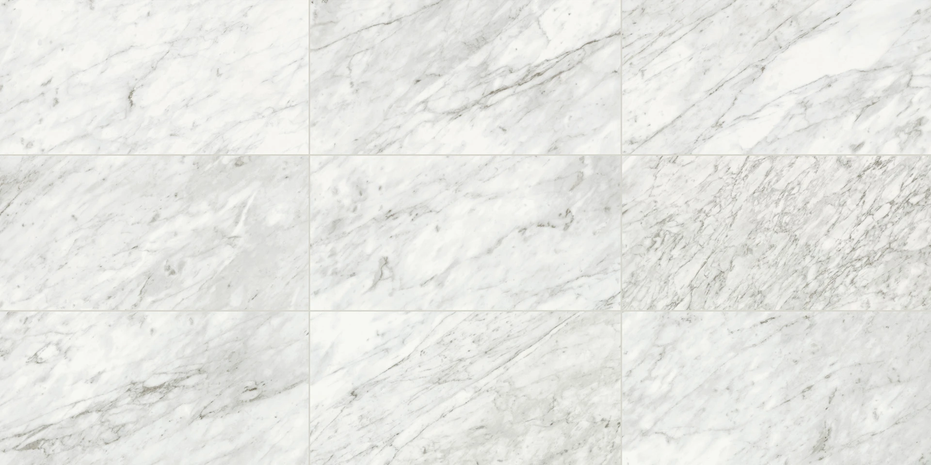 9 Representative Faces Shown of Atlas Concorde USA Trilogy Carrara Classic