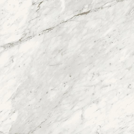 Trilogy Carrara Classic white marble-looking porcelain tile from Atlas Concorde USA - thumbnail