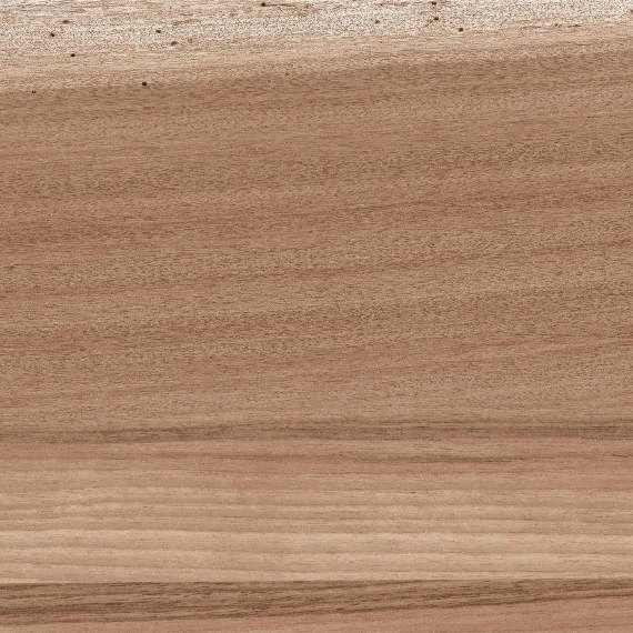 Wild Beige porcelain tile from Atlas Concorde USA - sample