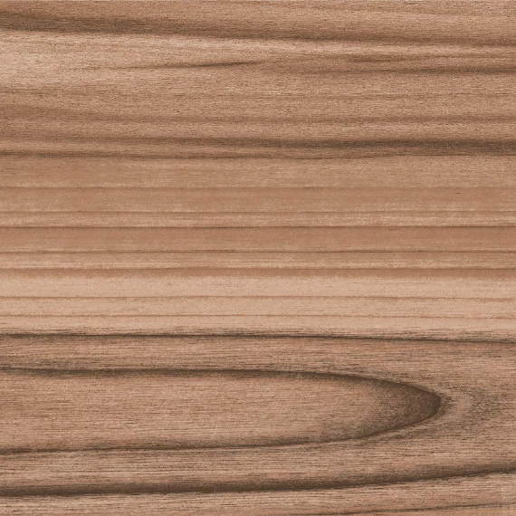 Wild Brown porcelain tile from Atlas Concorde USA - sample