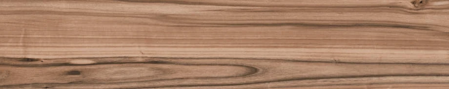 Wild Brown wood-look 8x40 porcelain tile from Atlas Concorde USA - thumbnail